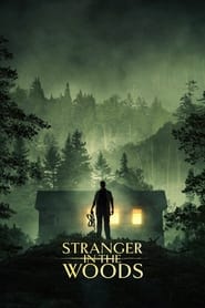 Stranger in the Woods (2024) Cliver HD - Legal - ver Online & Descargar