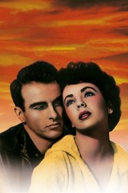 A Place In The Sun Review Movie Empire