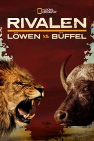 Poster Blood Rivals: Lion vs Buffalo