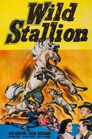 Wild Stallion 1952