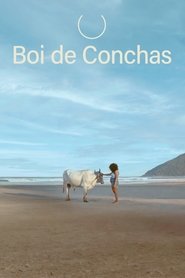 Boi de Conchas