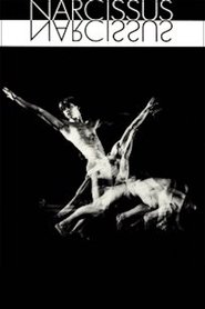Poster Narcissus 1983