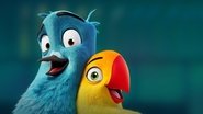 Love Birds 1970 Безплатен неограничен достъп