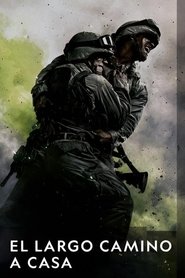 El largo camino a casa (2017)