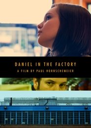 Poster Daniel in the Factory 2013