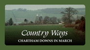 Chartham Downs in March