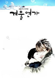 Winter Sonata poster