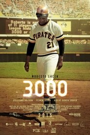 Poster 3000 2015