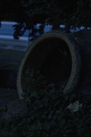 O espírito de Pucho Boedo