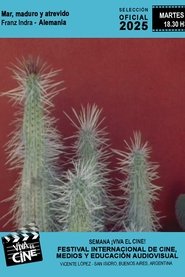 Meer, reif & verwegen