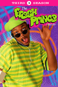 The Fresh Prince of Bel-Air Season 3 Episode 12