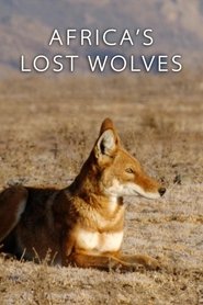 Poster Africa's Lost Wolves 2016