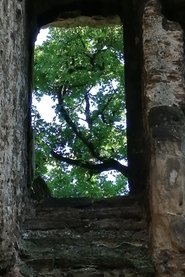 The Ruins of Seyssuel's Castle (2025)