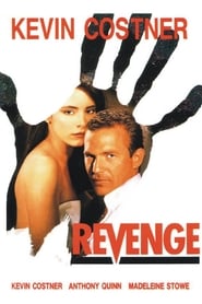 Poster van Revenge