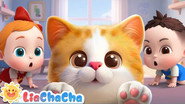 cha cha cha