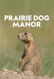 Prairie Dog Manor Prairie Dog Manor