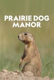 Prairie Dog Manor