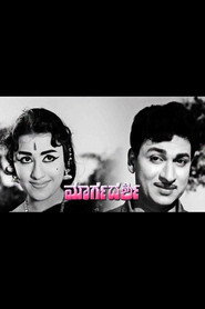 Margadarshi
