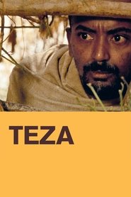 Poster Teza 2008