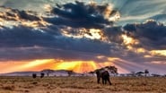 Nomads of the Serengeti en streaming