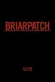 Briarpatch постер