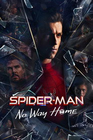 Spider-Man: No Way Home (2021)