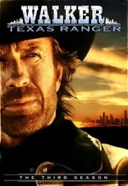 Walker, Texas Ranger - Season 3 poster