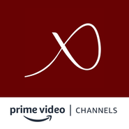 Passionflix Amazon Channel