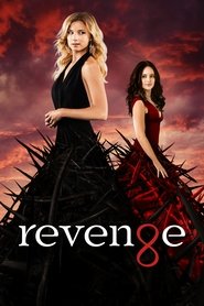 Poster Revenge 2015
