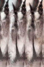 The Anatomy of a Feather