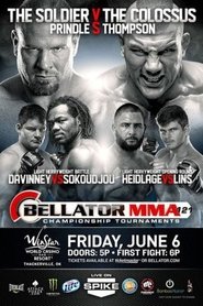 Poster Bellator 121