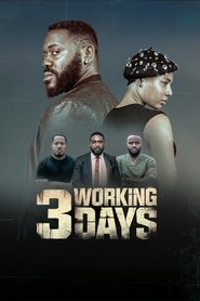 3 Working Days 3 Working Days