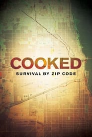 Cooked: Survival by Zip Code movie