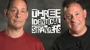 Three Identical Strangers