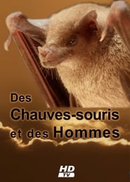 Des Chauves-souris et des Hommes