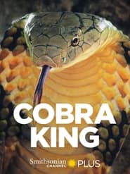 Cobra King