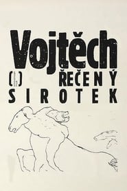 Poster Vojtěch, řečený sirotek