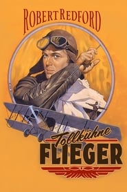 Poster Tollkühne Flieger