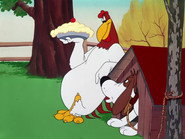 The Leghorn Blows at Midnight