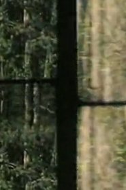 Arbres
