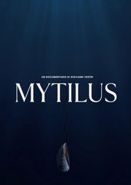 Mytilus