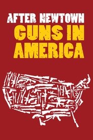 After Newtown: Guns in America 2013