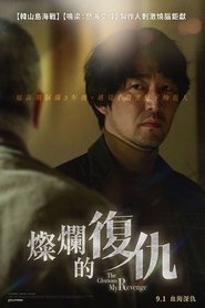 我灿烂的复仇 (2023)