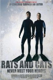 Poster Rats and Cats