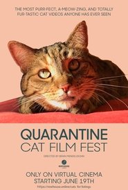 Quarantine Cat Film Fest постер