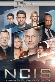 NCIS: Tengerészeti helyszínelők 17. évad plakát