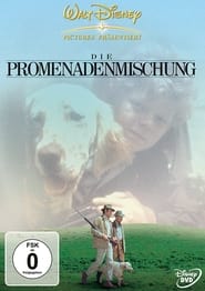 Poster Die Promenadenmischung