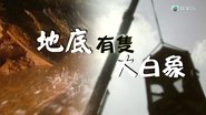 Episode 265