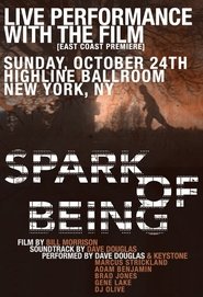 Poster Spark of Being 2010