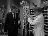 The Waxwork